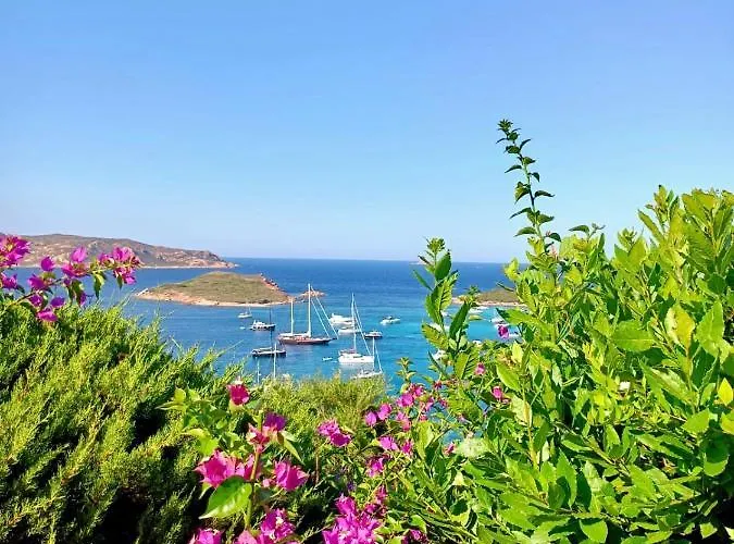 San Teodoro Punta Est Giardino Vista Mare *