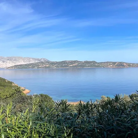公寓 Punta Est - Trilo Lentischio Giardino A 300m Mare