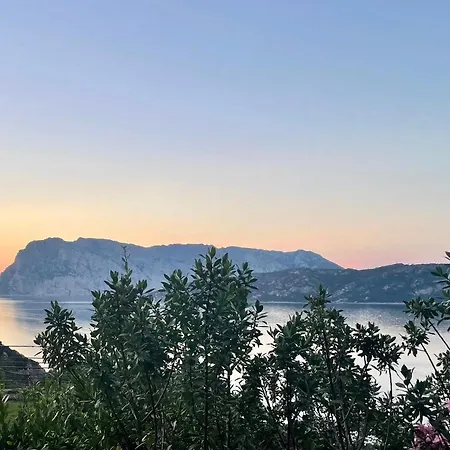 San Teodoro Punta Est Giardino Vista Mare Apartment