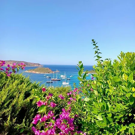 San Teodoro Punta Est Giardino Vista Mare *