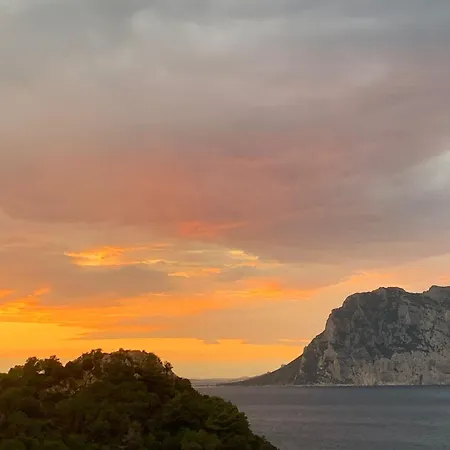 San Teodoro Punta Est Giardino Vista Mare Capo Coda Cavallo
