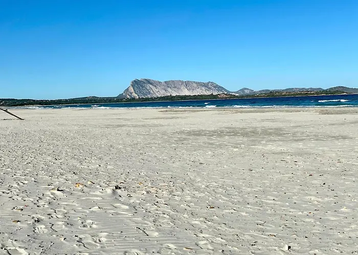 San Teodoro Punta Est Giardino Vista Mare *