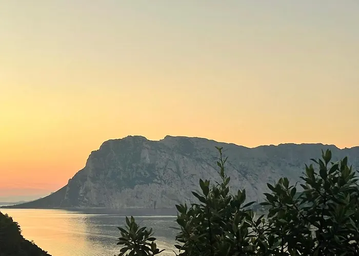 San Teodoro Punta Est Giardino Vista Mare * Capo Coda Cavallo